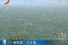 「都市频道·都市现场」“一追到底”回头看视频封面