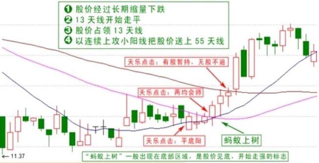 135战法，135战法系列抄底篇之一马失前蹄！可以分为以下几点来了解（图解最全面的135均线战法）