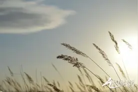 久在樊笼里 复得返自然图片