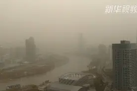 日色朦胧 浮尘围城视频封面