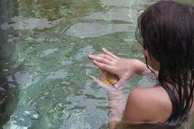 夏季洗澡别洗错了，正确的洗澡方式，养生又护肤，还能促睡眠图片