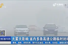 大雾天影响，省内多条高速公路临时封闭司机被困！午间前后已解除视频封面