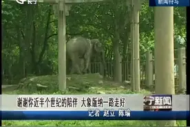 谢谢你近半个世纪的陪伴，大象版纳一路走好视频封面