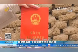 自家宅基证，上面却是大伯哥的名字，多年前分家，宅基地未更名视频封面