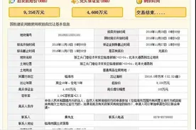 溢价率104.9%！浙江头门港经济开发区一地块以18950万元成交图片