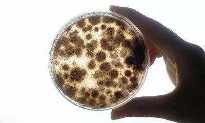 曝光！广西公布14批次不合格食品，崇左也有！