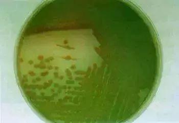 曝光！广西公布14批次不合格食品，崇左也有！