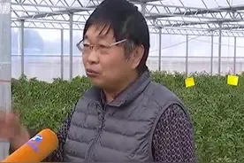 农博士在线：教你如何防止辣椒病虫害视频封面