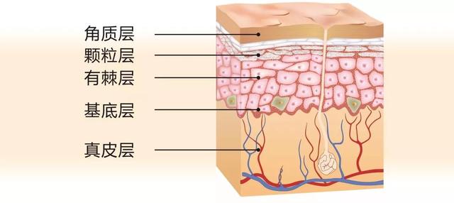 鏄庢槦婊¤劯鐨勨€滆兌鍘熻泲鐧解€濓紝閮芥槸鎬庝箞琛ュ嚭鏉ョ殑锛? onerror=