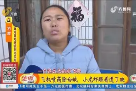 飞机喷药除白蛾，可第二天自家小龙虾都死了，赔500元能行？视频封面