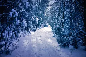在最美的诗词里，遇见最美的雪景图片