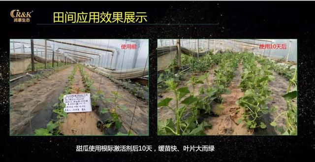 十年征程，这家氨基酸特肥领军企业今年销量逆势增长25%！明年它有什么大动作？