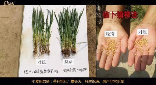 十年征程，这家氨基酸特肥领军企业今年销量逆势增长25%！明年它有什么大动作？