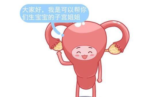 何高达