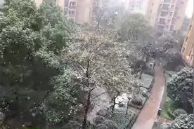 寒潮暴雪齐预警，这轮冷空气还将肆虐到何时？视频封面
