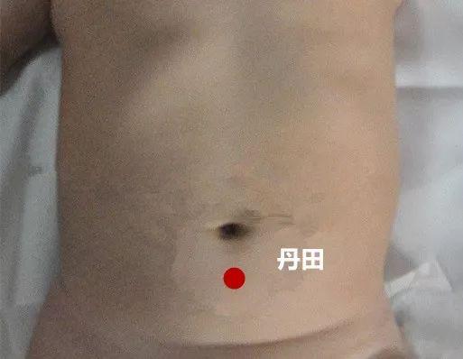 花胶红枣枸杞黄芪瘦肉汤 2026年花胶可以和黄芪红枣搭配吗