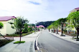 贵州安顺市西秀区双堡镇大坝村：敢想敢试 闯出致富路图片