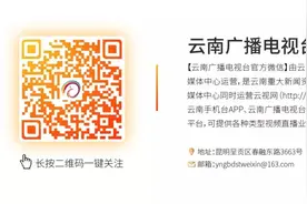 最新！云南100个山头春茶价格公布！曼松古树4万/公斤、冰岛古树…图片