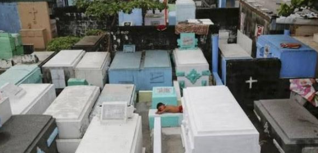 什么是活人墓什么是死人墓（世界上最大的活死人墓）