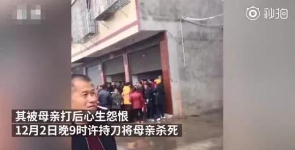 被囚禁的掌心1破解版（12岁男孩儿杀害亲生母亲）