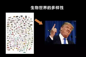 按严格的科学意义，今天地球上仍有一万多种恐龙图片