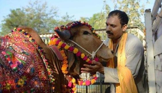 世界上最奇葩的8对夫妻,印度的最尴尬,日本最诡异