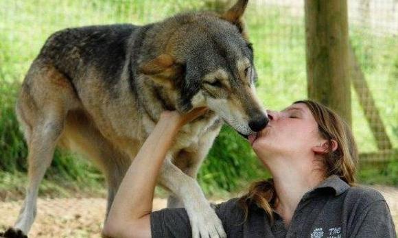 世界上最奇葩的8对夫妻,印度的最尴尬,日本最诡异