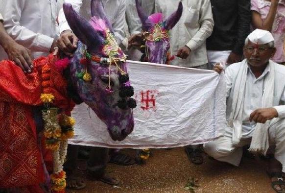 世界上最奇葩的8对夫妻，印度的最尴尬，日本最诡异