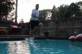 快瞧那只壁虎！它会“凌波微步”图片