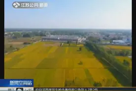 土地政策的变迁给农民生活带来大变化，听听亲历者的回忆视频封面