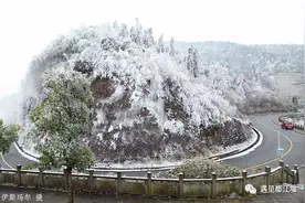 来！一起到青城山，泡着温泉慢慢听雪落下的声音！图片