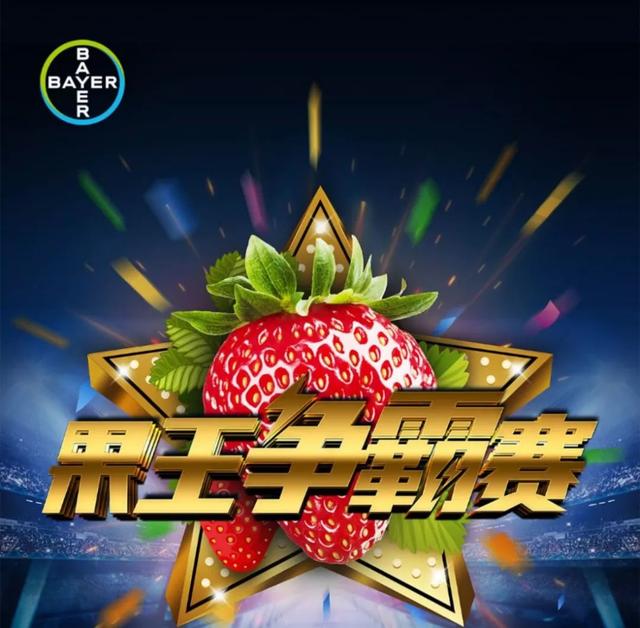 赤心助力！拜耳露娜森全链条提升中国草莓产业质效