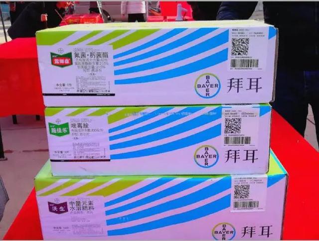 赤心助力！拜耳露娜森全链条提升中国草莓产业质效