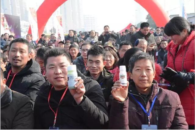 赤心助力！拜耳露娜森全链条提升中国草莓产业质效