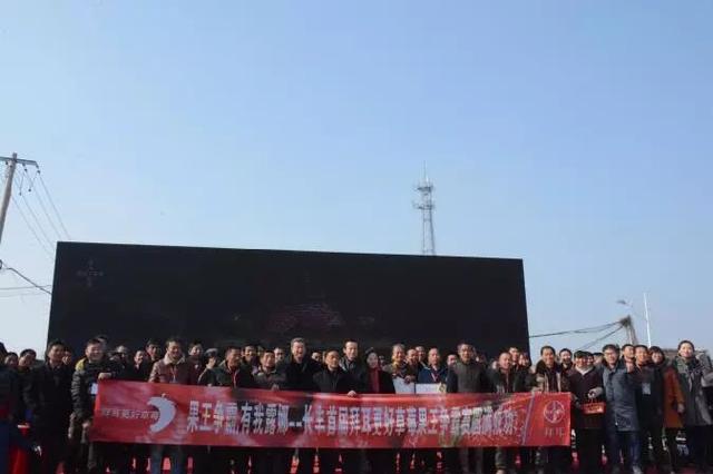 赤心助力！拜耳露娜森全链条提升中国草莓产业质效