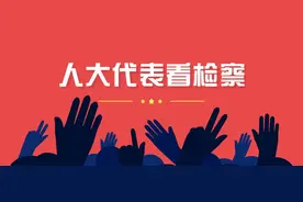 【人大代表看检察】林建胜：检察机关以数据说话，掷地有声图片
