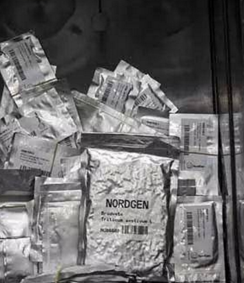 秋葵视频网站建设（探秘全球最神秘的种子库）