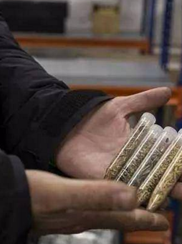 探秘全球最神秘的种子库，为世界末日而准备！