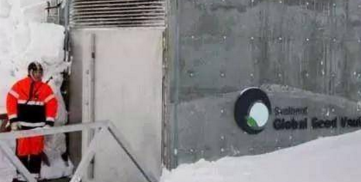 探秘全球最神秘的种子库，为世界末日而准备！