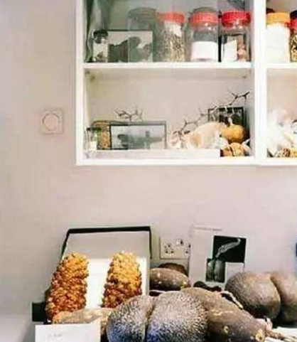 探秘全球最神秘的种子库，为世界末日而准备！