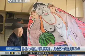 八旬苏州老汉痴迷风筝20年，为迎接猪年做的风筝还获了大奖视频封面