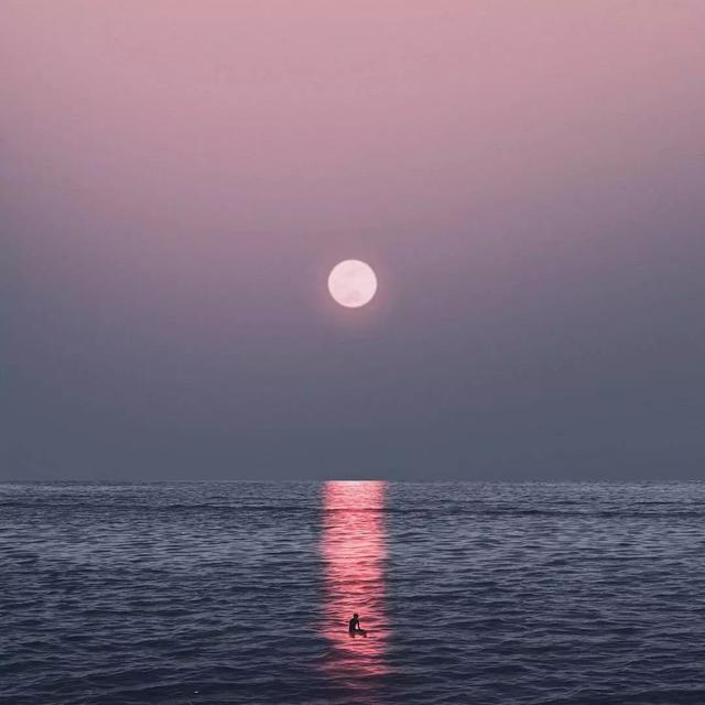 洛克王国毒蛙组别（叹为观止2018最酷的科学界照片新鲜出炉）