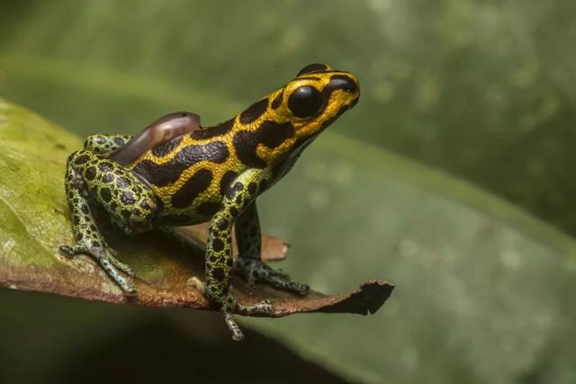 叹为观止！2018最酷的科学界照片新鲜出炉