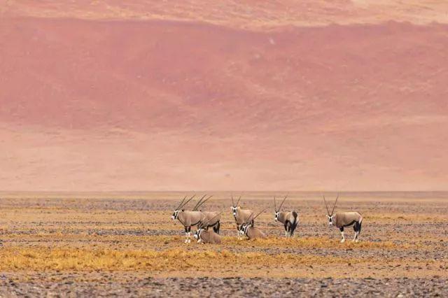 叹为观止！2018最酷的科学界照片新鲜出炉