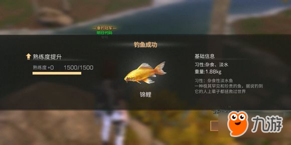 明日之后怎么钓鱼（明日之后锦鲤钓鱼技巧分享 锦鲤钓鱼位置分享）