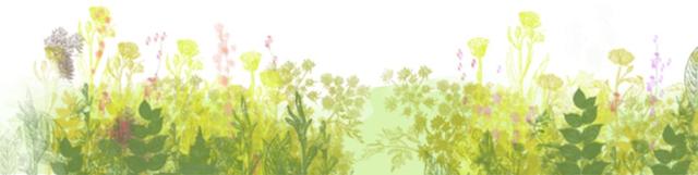 内含福利！等你来撒欢！大到罕见的魔都“奇迹城堡”里，巨型花海已达颜值巅峰！还有“神奇动物”出没呢！