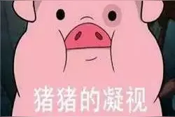 “小金猪”爱豆的大盘点！本命年一起走花路吧~图片