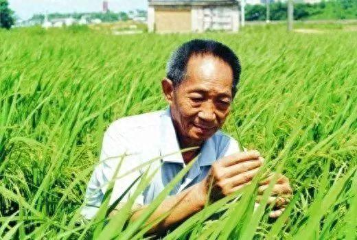 驾校复核逾期保证书怎么写，69岁老太太学驾照 配图07
