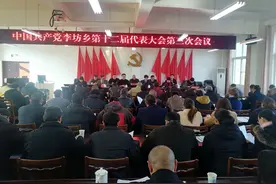 中共李坊乡第十二届代表大会第三次会议圆满召开图片