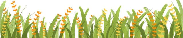 肥料常识小集合：能让作物增产的锌肥和氨基酸微肥！